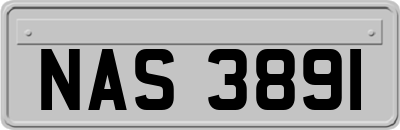 NAS3891