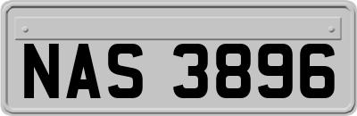 NAS3896