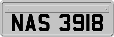 NAS3918