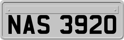 NAS3920