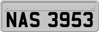 NAS3953