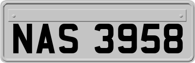 NAS3958