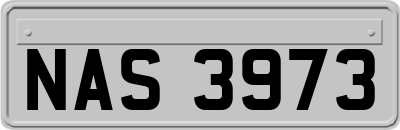 NAS3973