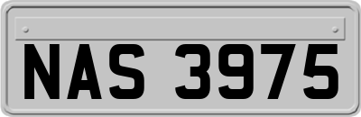 NAS3975