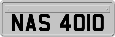 NAS4010