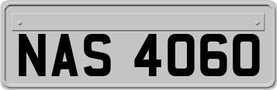 NAS4060