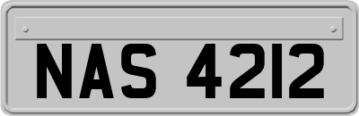 NAS4212