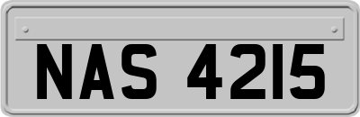 NAS4215