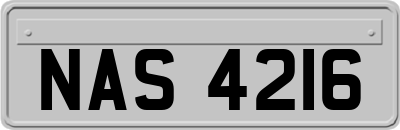 NAS4216