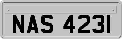 NAS4231