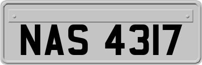 NAS4317