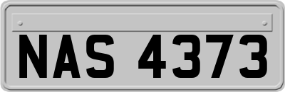 NAS4373