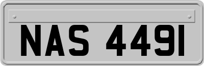 NAS4491