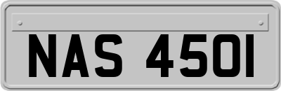 NAS4501