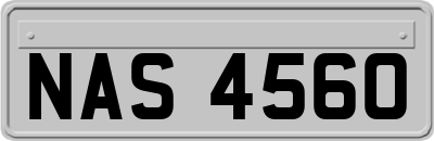 NAS4560