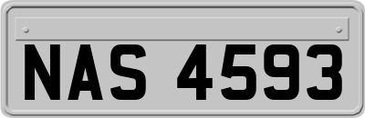 NAS4593