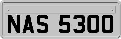 NAS5300