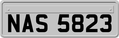 NAS5823