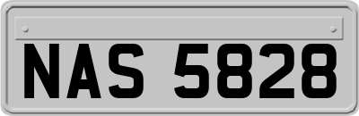 NAS5828