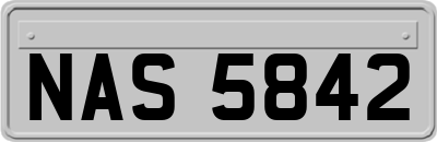 NAS5842