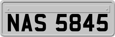 NAS5845