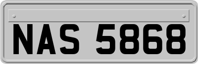 NAS5868