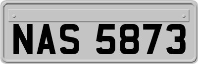 NAS5873