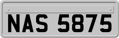 NAS5875