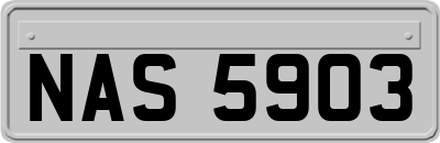 NAS5903