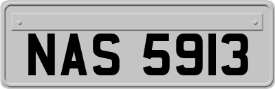 NAS5913