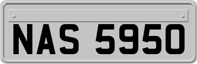 NAS5950