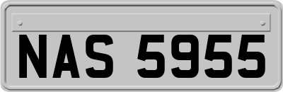 NAS5955