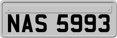 NAS5993