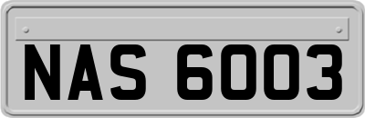 NAS6003