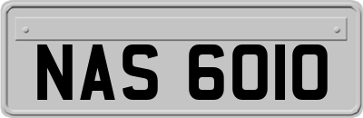 NAS6010