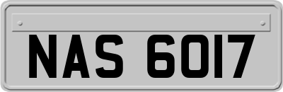 NAS6017