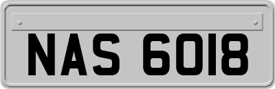 NAS6018