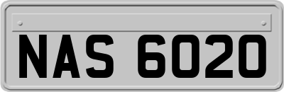 NAS6020