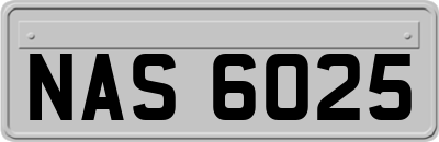 NAS6025