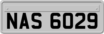 NAS6029