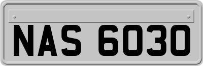 NAS6030