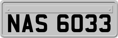 NAS6033