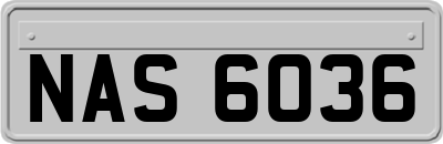 NAS6036