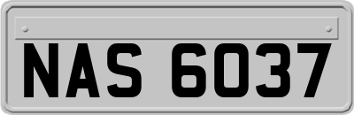 NAS6037