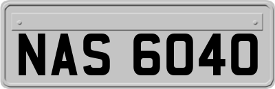 NAS6040