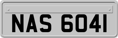 NAS6041