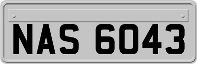 NAS6043