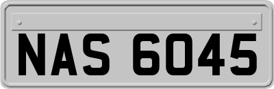 NAS6045