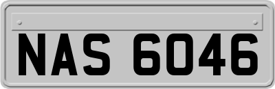 NAS6046