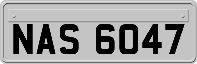 NAS6047